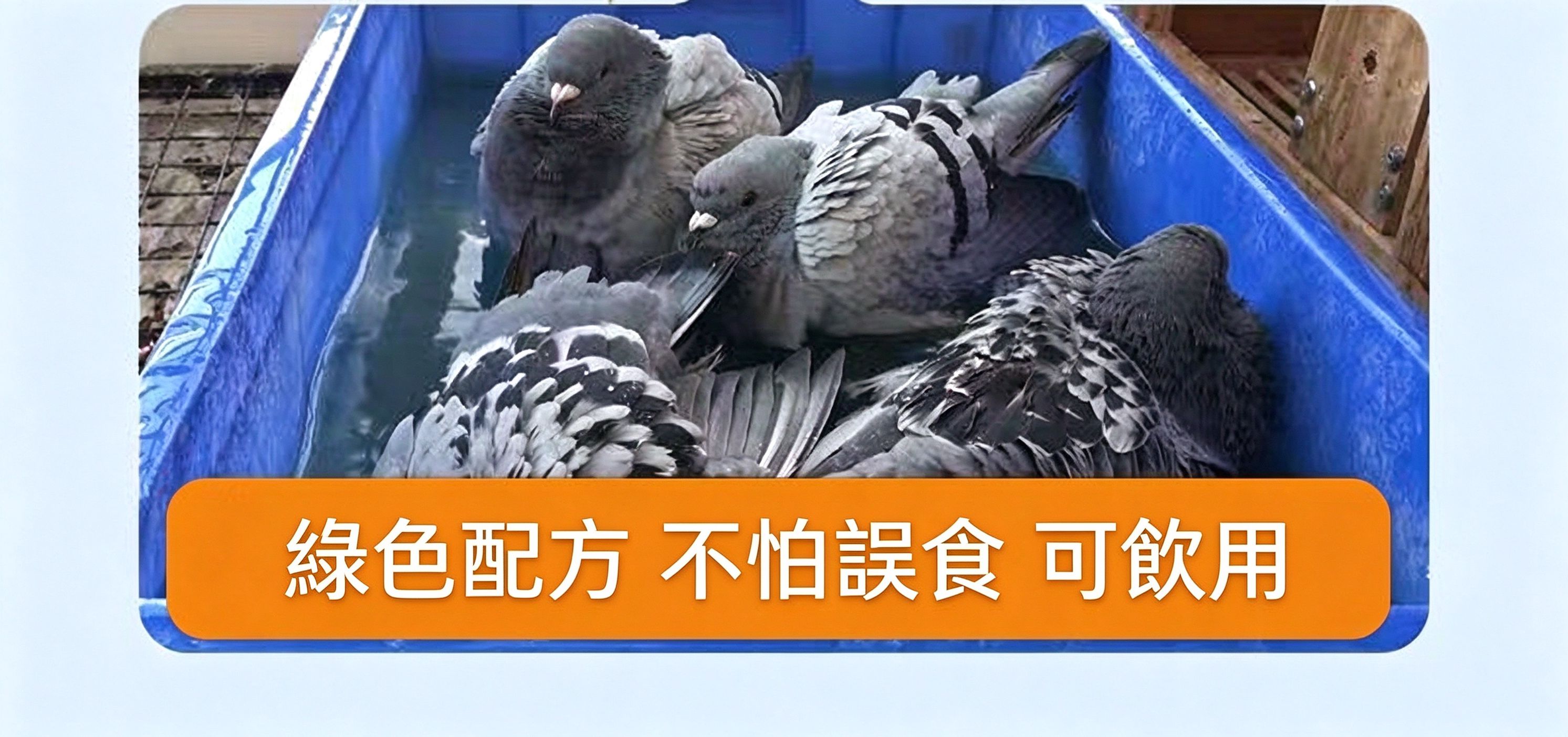 綠色配方